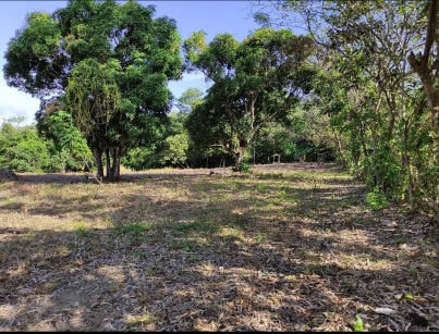 Terreno en Venta en Penonomé, Aguas Blancas, El Coco – 7,132.79 m²