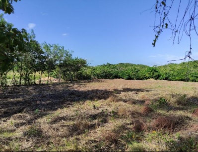Terreno en Venta en Penonomé, Aguas Blancas, El Coco – 7,132.79 m²