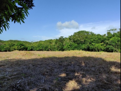 Terreno en Venta en Penonomé, Aguas Blancas, El Coco – 7,132.79 m²
