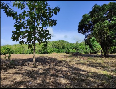 Terreno en Venta en Penonomé, Aguas Blancas, El Coco – 7,132.79 m²