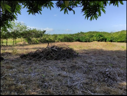 Terreno en Venta en Penonomé, Aguas Blancas, El Coco – 7,132.79 m²